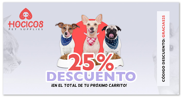 ejemplo cupon descuento