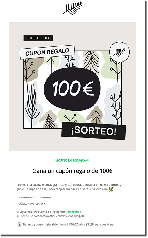 ejemplo de newsletter para difundir una campaña online