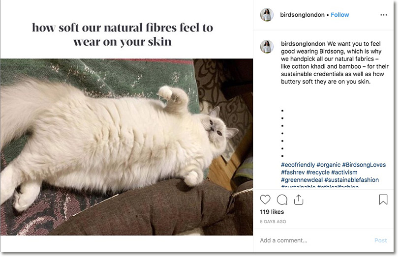 ejemplo de meme de una marca de ropa