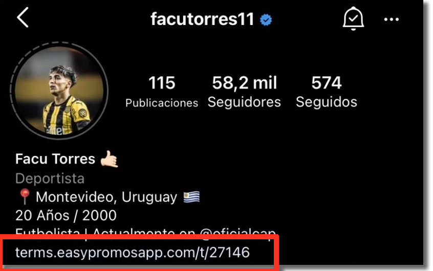 link del sorteo en la bio de Facu Torres