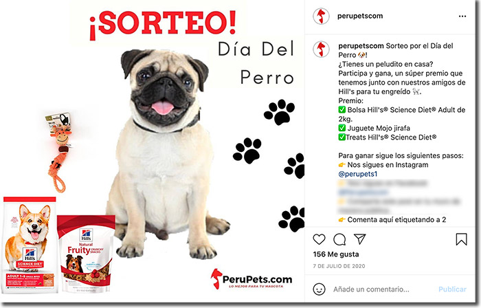 ejemplo de sorteo del día del perro en Instagram