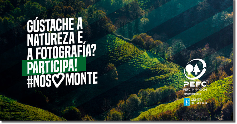 imagen principal de una campaña para promocionar una organización sin ánimo de lucro