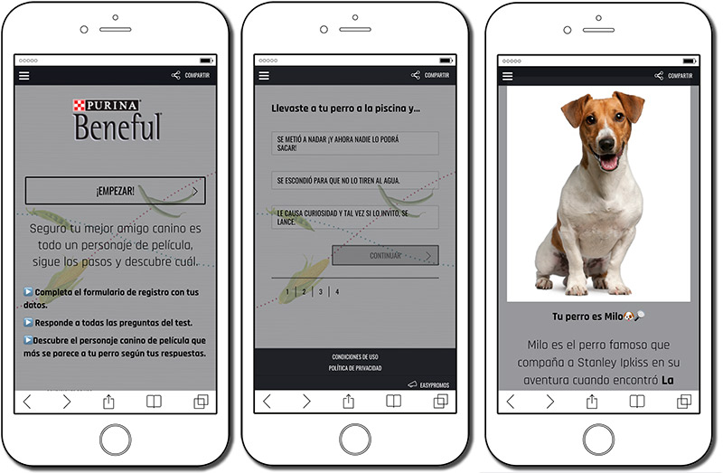ejemplo de test de personalidad para perros