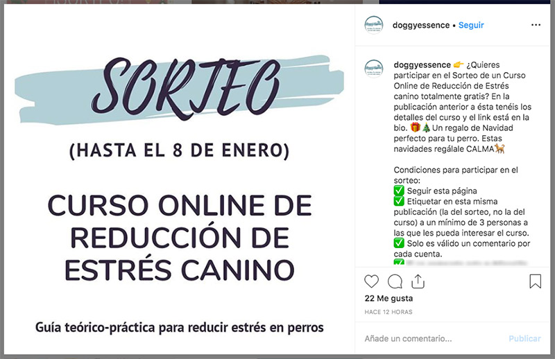 sorteo en instagram de un curso de reducción de estrés canino