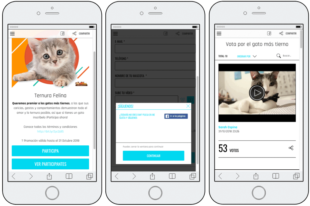 concurso de videos sobre gatos