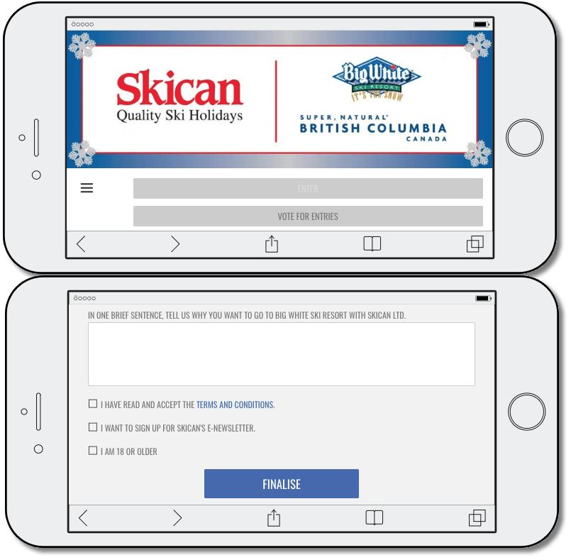 winter sports survey promotion idea